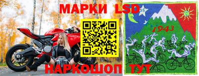 гидра Камышлов