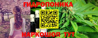 гидра Камышлов