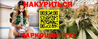 гидра Камышлов