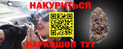 гидра Камышлов