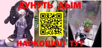 гидра Камышлов